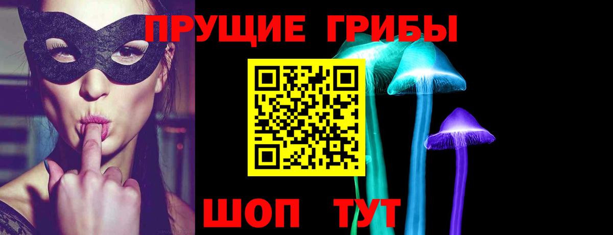 Галлюциногенные грибы Psilocybine cubensis  Вход с VPN  Азнакаево  Галлюциногенные грибы Psilocybine cubensis 